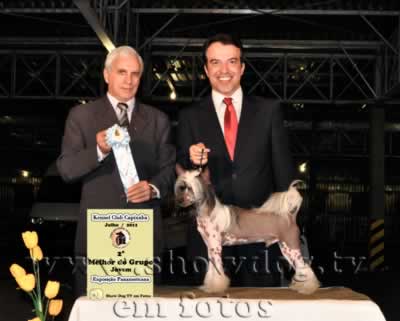 Clique sobre a foto para fechar